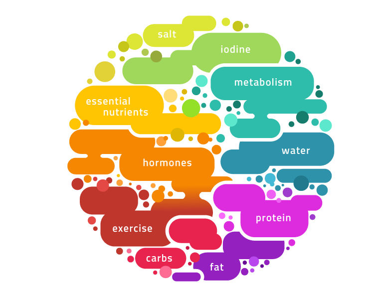 A seminar on craving-free weight loss